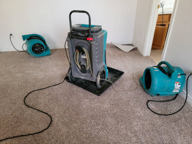 Best Carpet water damage restoration  in Moxee, WA