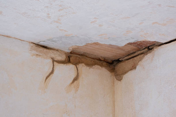 Best Mold removal after water damage  in Moxee, WA