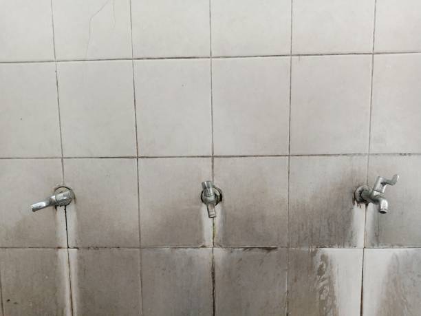 Best Local water damage restoration  in Moxee, WA