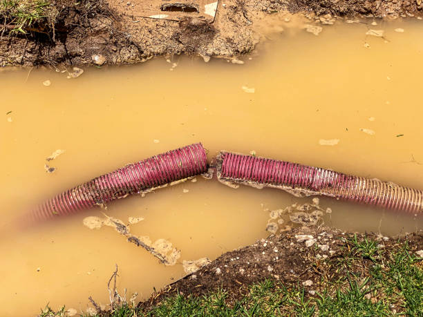 Best Sewage cleanup and water damage restoration  in Moxee, WA